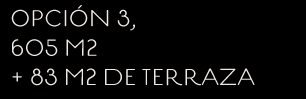 OPCIÓN 3